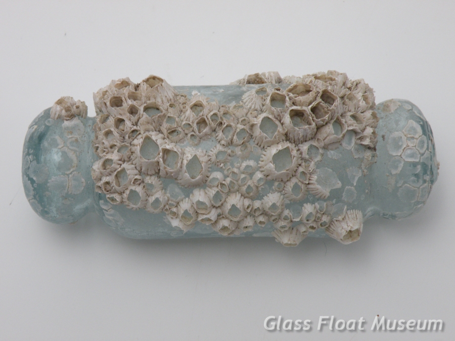 Roller With Barnacles, 4 3/4 Inch