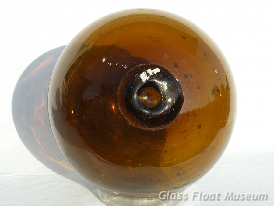 Amber Gold, 14 Inch