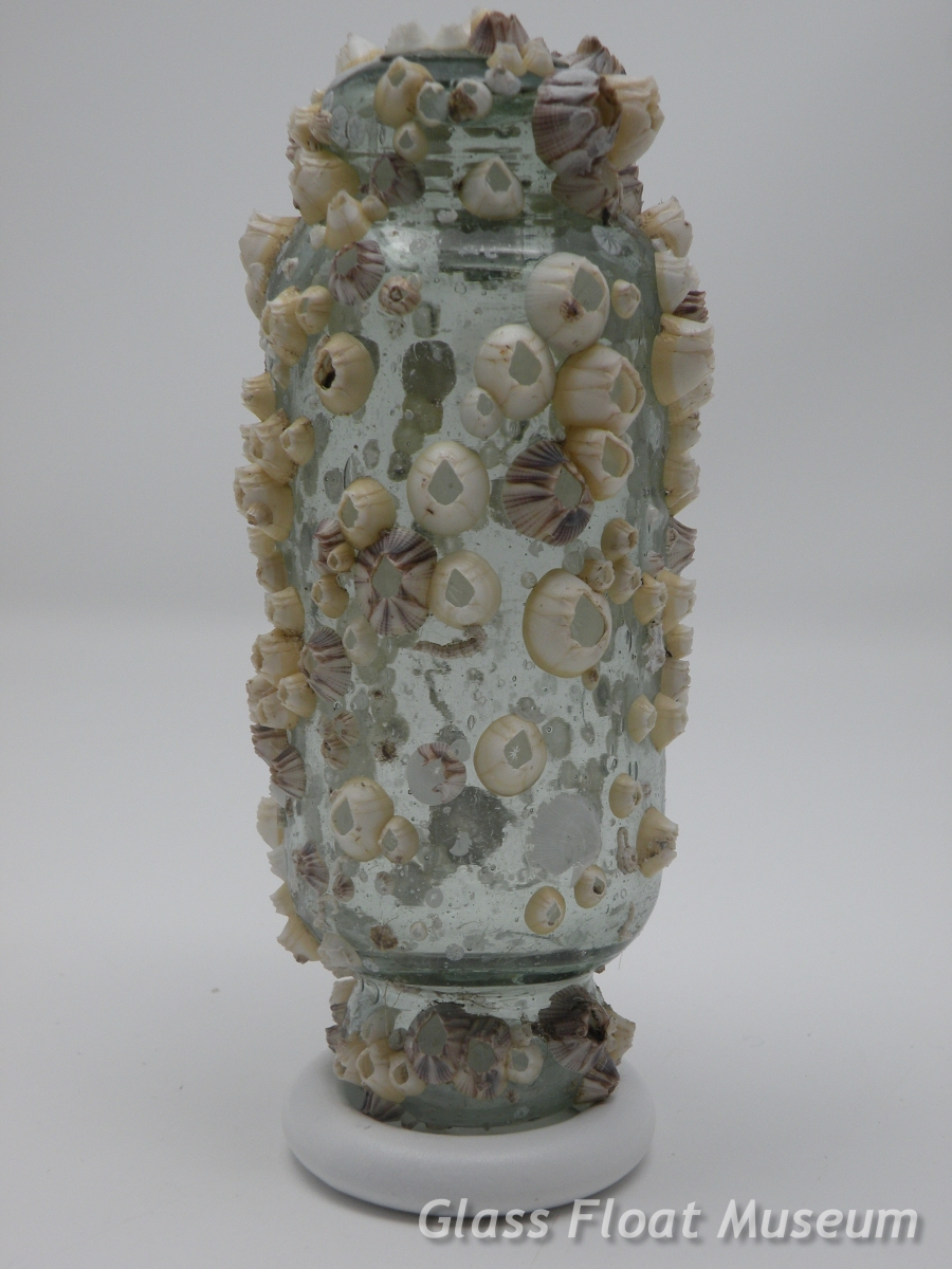 Roller With Barnacles, 5 1/2 Inch